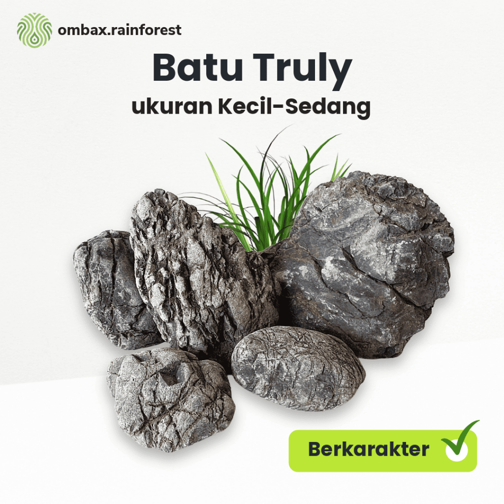 Jual Batu Truly / Turly - Dekorasi Aquascape / Terrarium | Shopee Indonesia