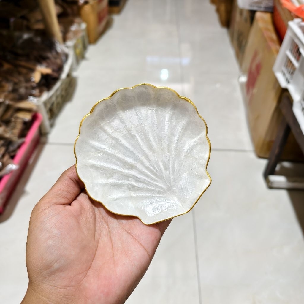 Jual Shell Plate Mini, Piring Kerang Kecil | Shopee Indonesia