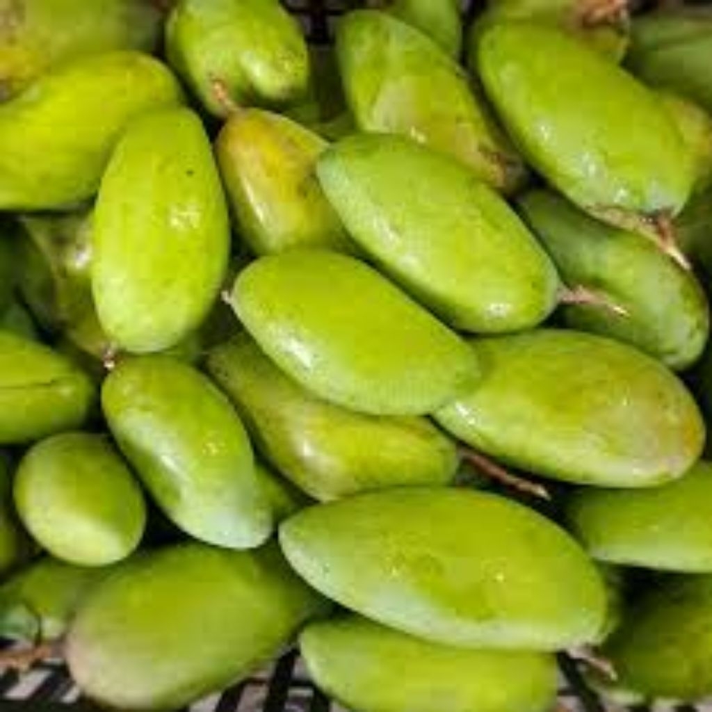 Jual Mangga Kiojay Terlengkap & Harga Terbaru Agustus 2026 | Shopee ...