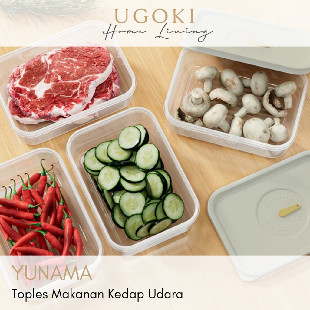 Jual |UGOKI| YUNAMA Box Tutup Daging Estetis Wadah Box Makanan Modular ...