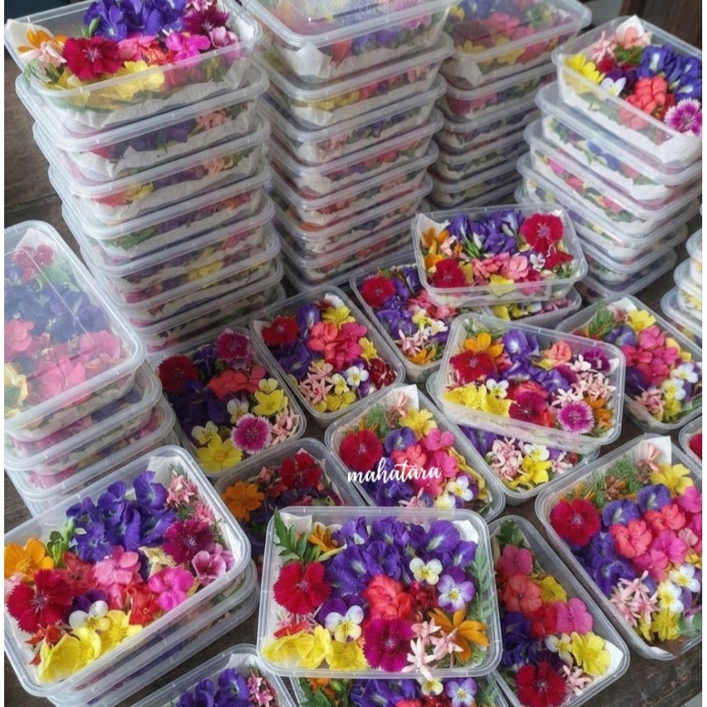 Jual Fresh Edible Organic flowers Mix/ Bunga Segar yang bisa dimakan ...
