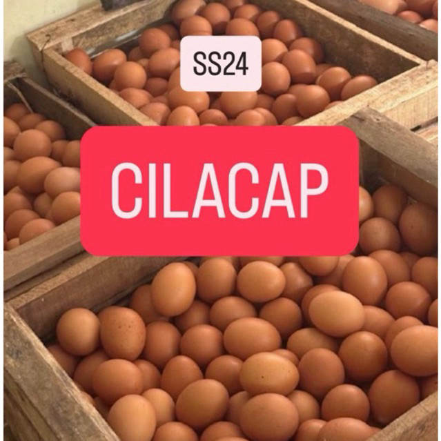 Telur Ayam Cilacap Promo SS24 (tulis wawa aktif di catatan)