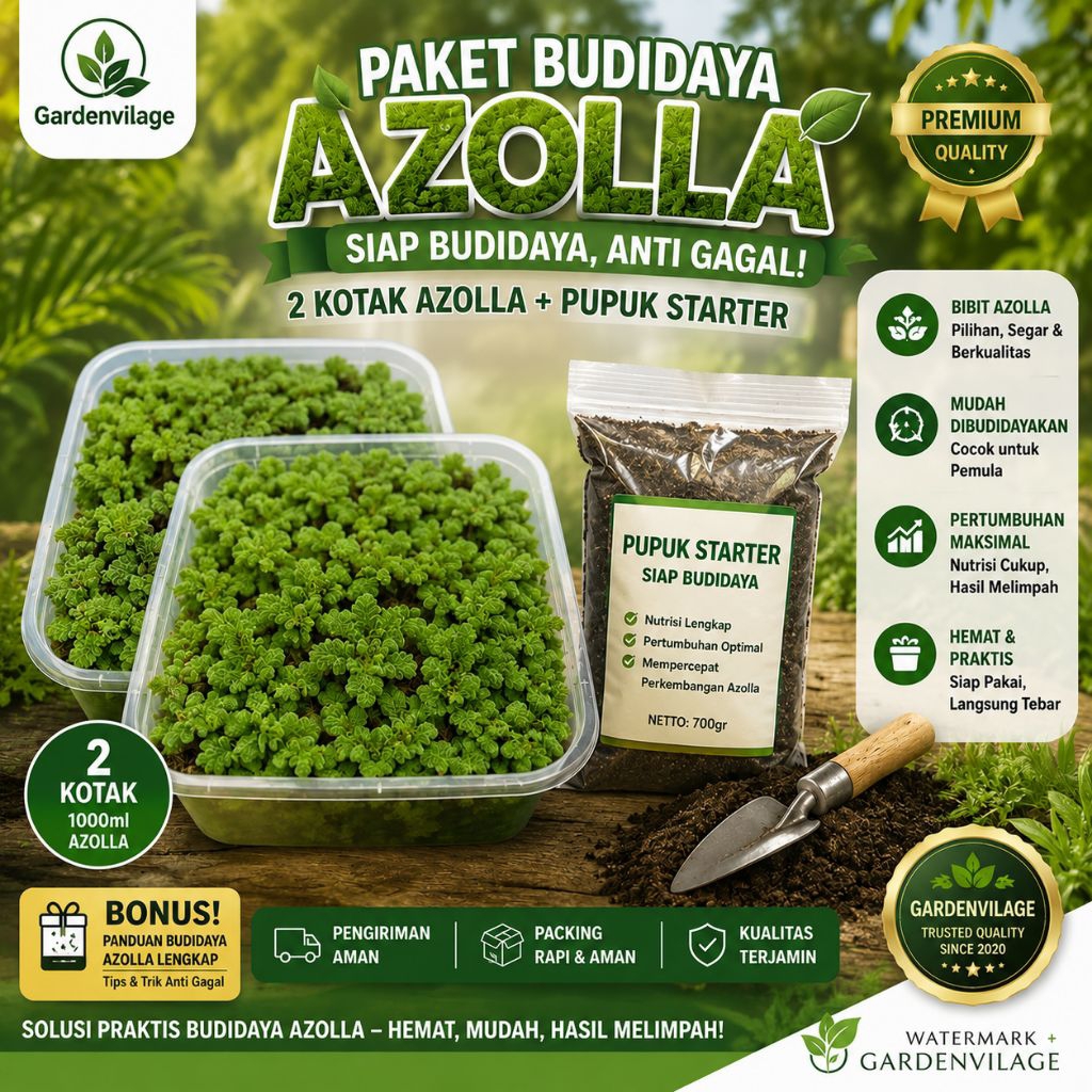 Jual Azolla Terlengkap & Harga Terbaru Juli 2026 | Shopee Indonesia