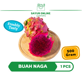 Buah Naga Merah 1 Pcs