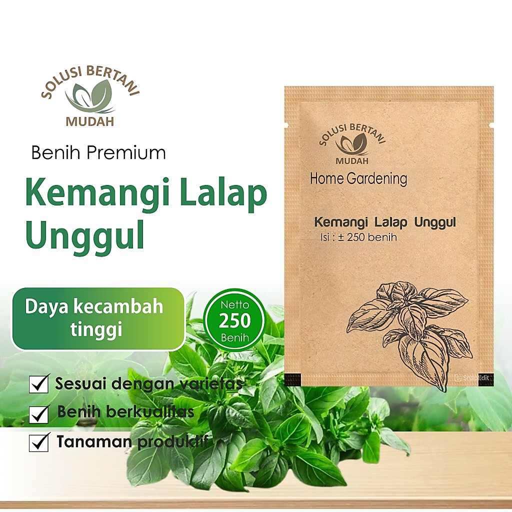 Bibit Benih Sayuran Kemangi Lalap Unggul