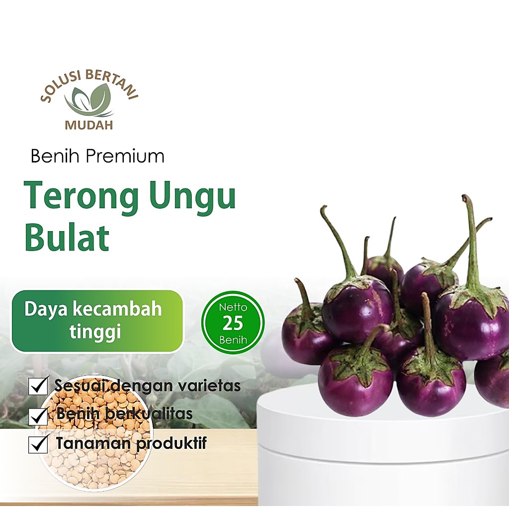 Biji - Bibit Sayuran Terong Lalap Ungu Unggul