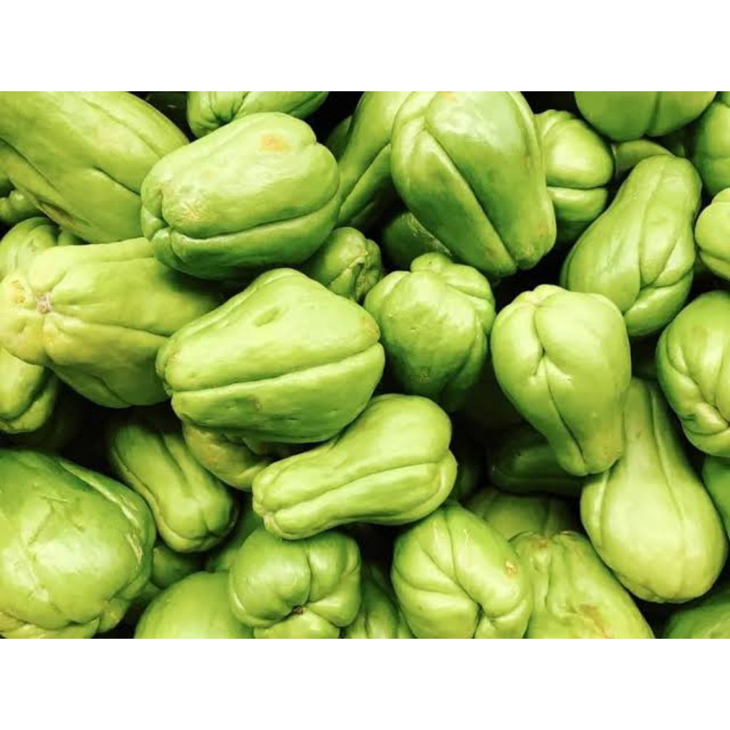 Jual Labu Siam Terlengkap & Harga Terbaru Juli 2026 | Shopee Indonesia