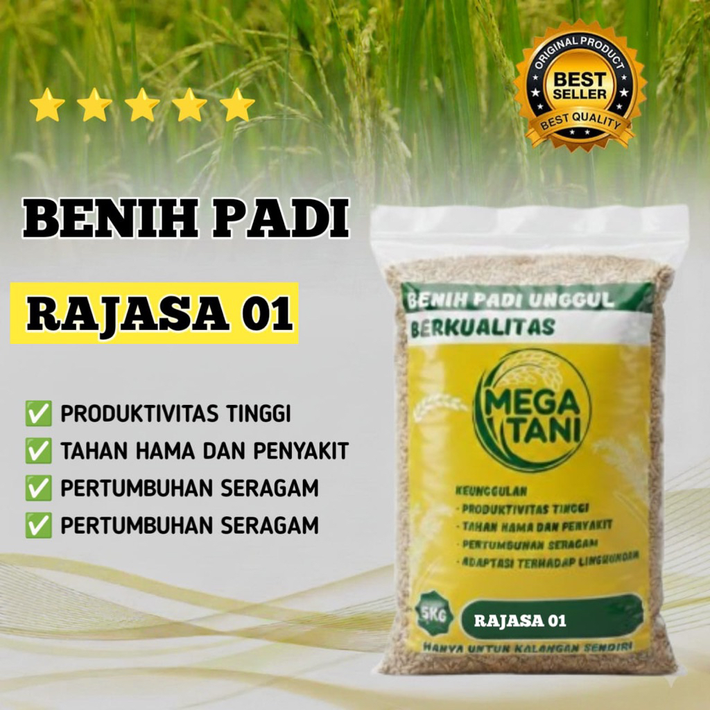 Jual Benih Padi Rajasa 01 Kualitas Original Kemasan 5Kg | Shopee Indonesia