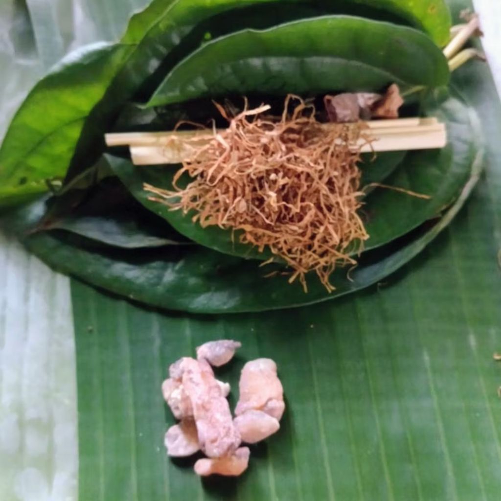 Jual Bunga Datuk / Bunga Sembahyang Datuk Lengkap Segar | Shopee Indonesia