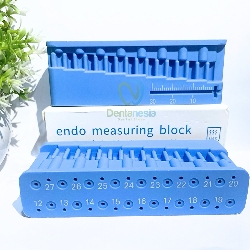 Jual Mini Endoblock Endo Block Dental Endodontic Gauge Alat Penukur ...