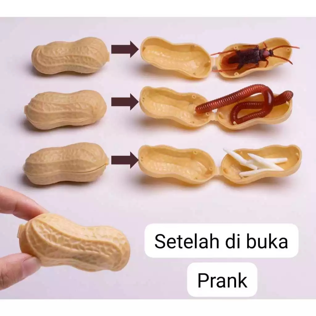 Jual MAINAN KOLEKSI MODEL KACANG TANAH PRANK ISI SERANGGA RANDOM BAHAN ...