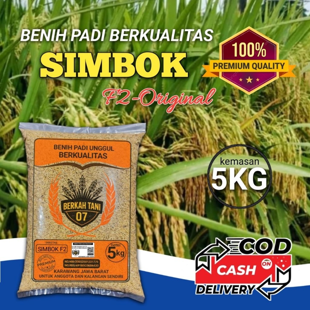 Jual benih padi simbok F2 original super unggul 5kg | Shopee Indonesia