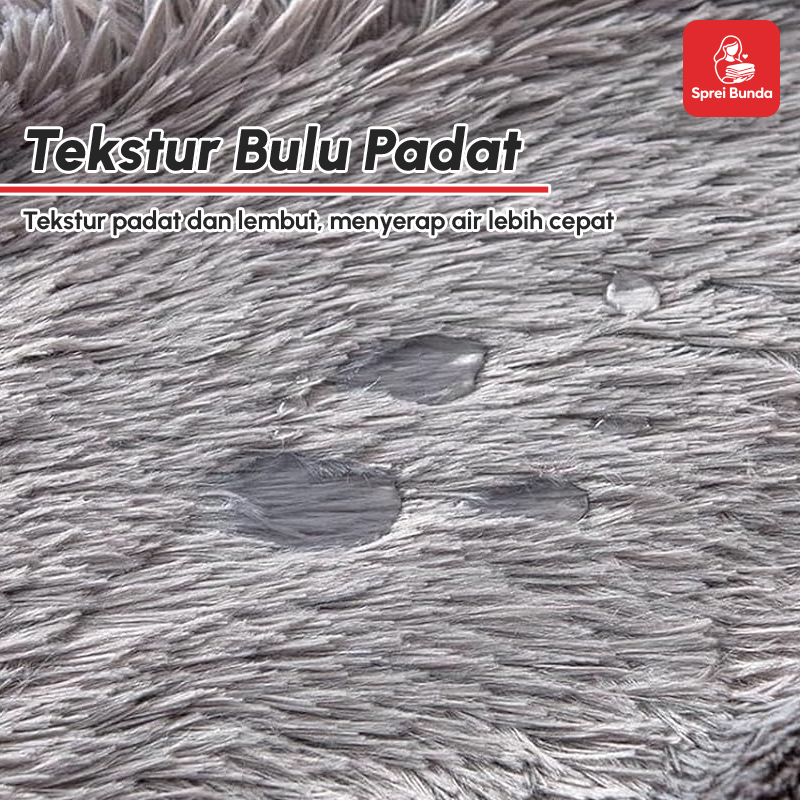 Jual Sprei Bunda - Karpet Bulu Rasfur Lembut Anti Slip Karpet Ruang ...