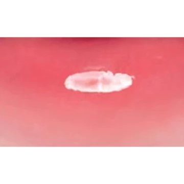 CLX Crystal Glam Tint Glossy Lip Tint