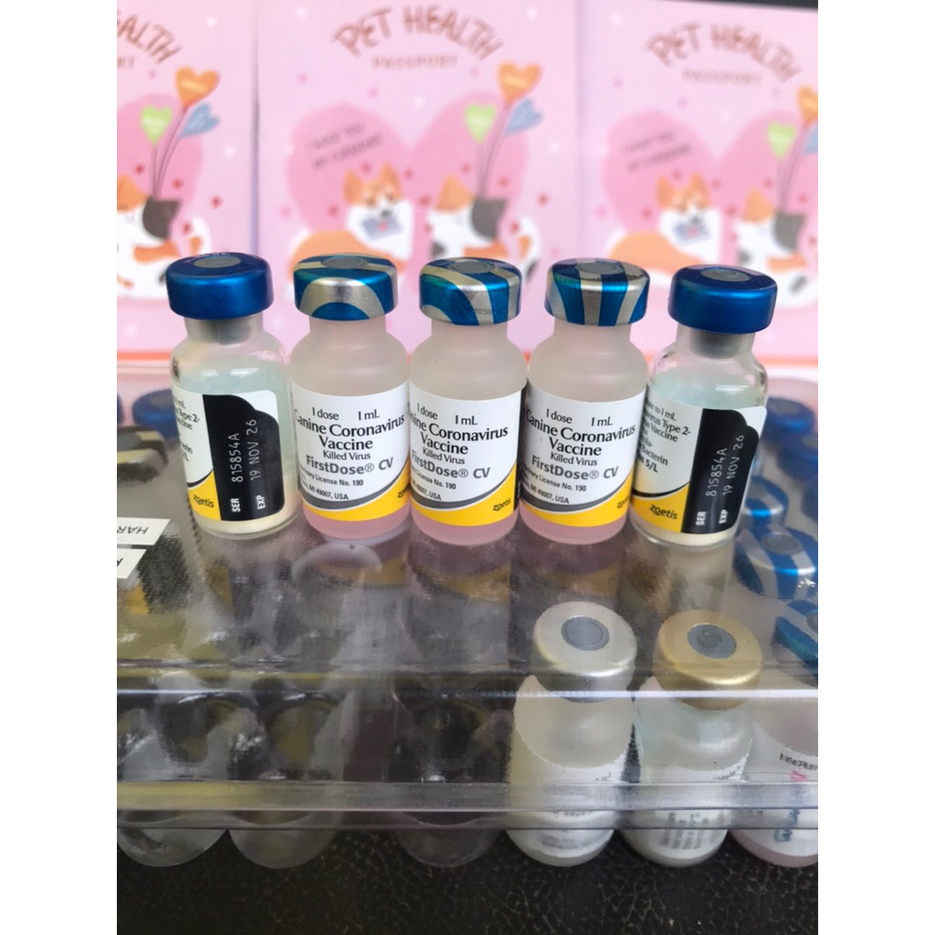 Jual Vaksin Booster Terlengkap & Harga Terbaru April 2026 | Shopee ...