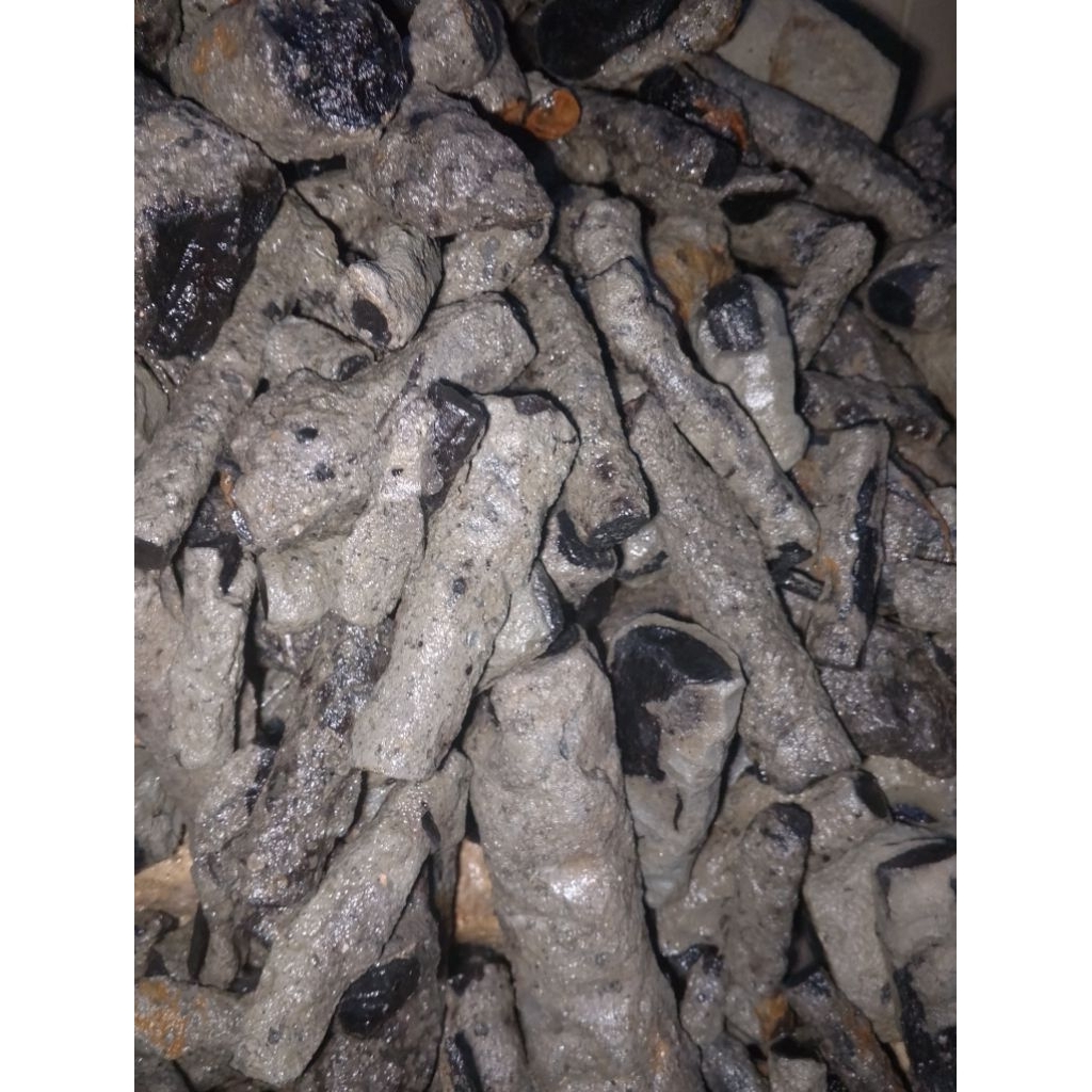 Jual bo Sempur ruyung kalimaya banten | Shopee Indonesia