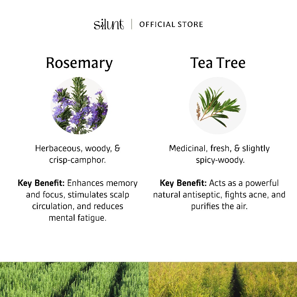 Jual Minyak Tea Tree Terlengkap & Harga Terbaru Mei 2026 | Shopee Indonesia