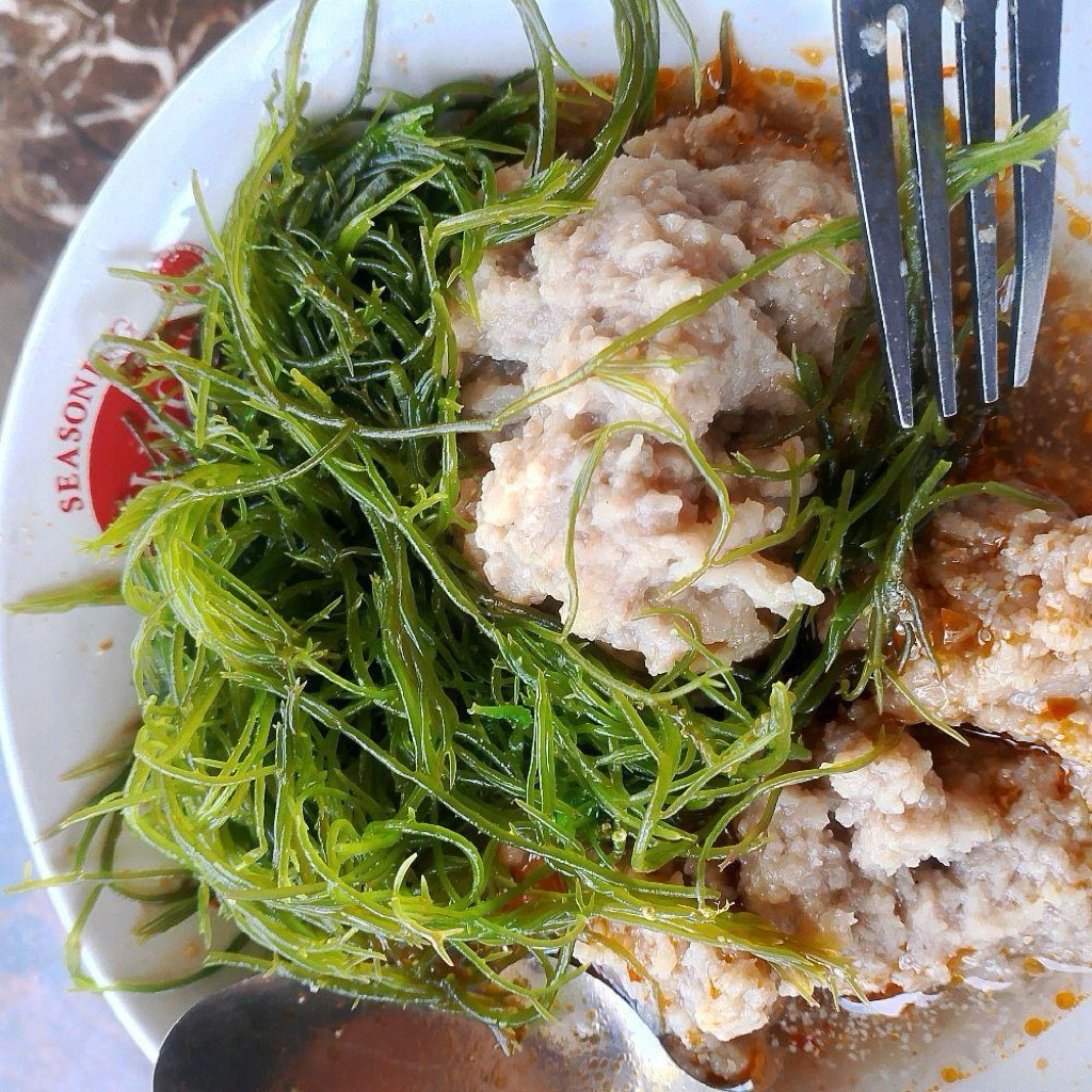 Jual bakso ikan cekalang rumput laut isi 10 biji rumput laut 150 gram ...