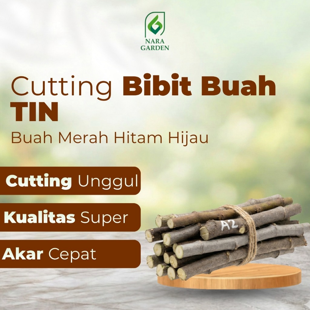 Nara Garden - Cutting bibit buah tin buah merah hitam hijau