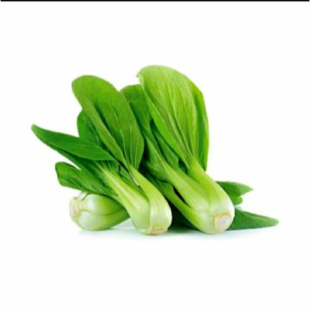 Jual Pokcoy Segar Premium - Sayur Hijau Sehat Siap Masak! | Shopee ...