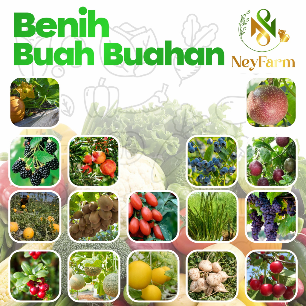 Benih Biji Buahan Tanaman Buah Benih Strawberry Semangka Melon Blewah Strawberry BlackBerry Blueberry Delima Anggur