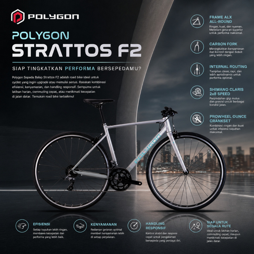 Jual Sepeda Balap Hybrid Polygon Strattos F2 Silver 2027 Carbon Fork 2 ...