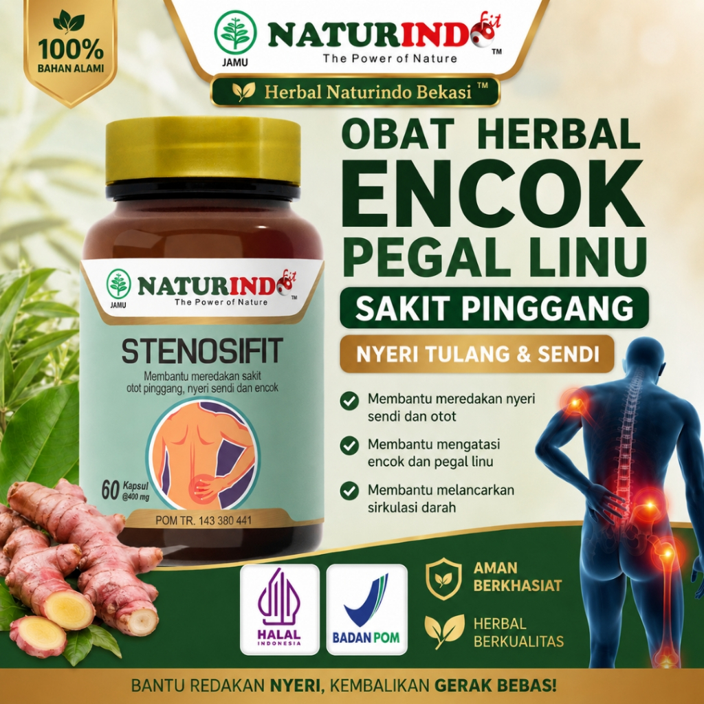 Obat Herbal Encok Pegal Linu Sakit Pinggang Nyeri Tulang Sendi STENOSIFIT Naturindo