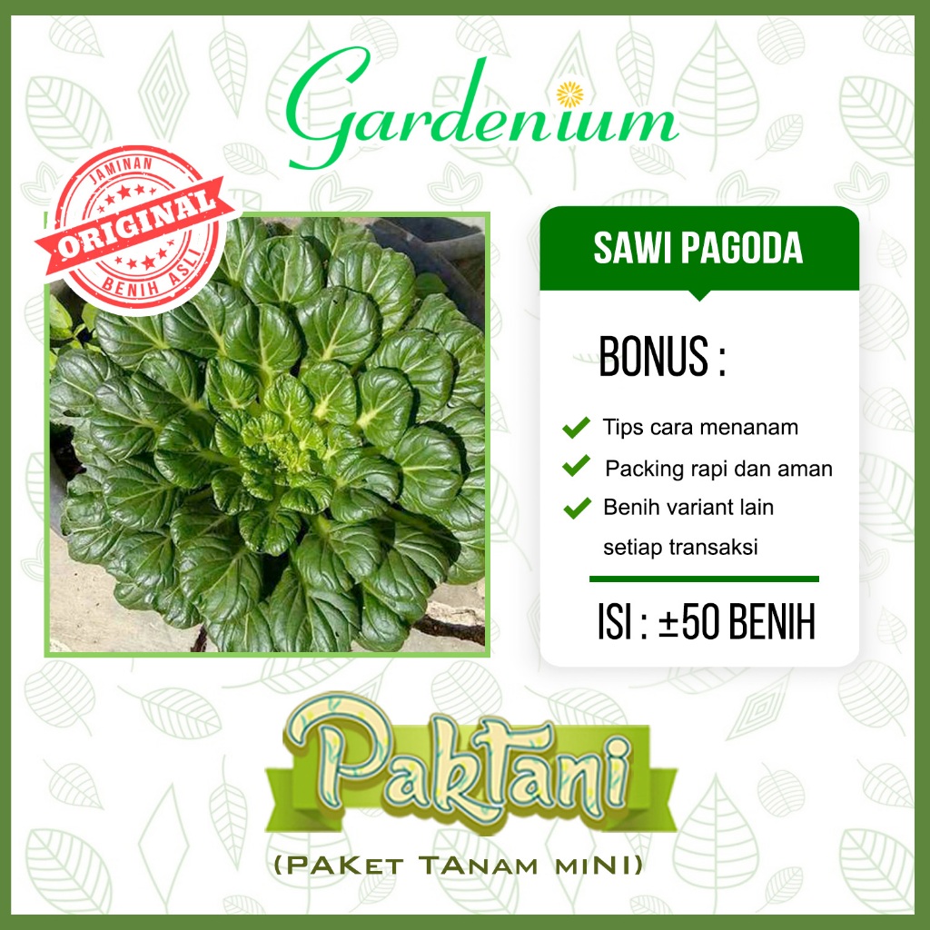 50 Benih Sawi Pagoda Sayuran Unggul Paktani