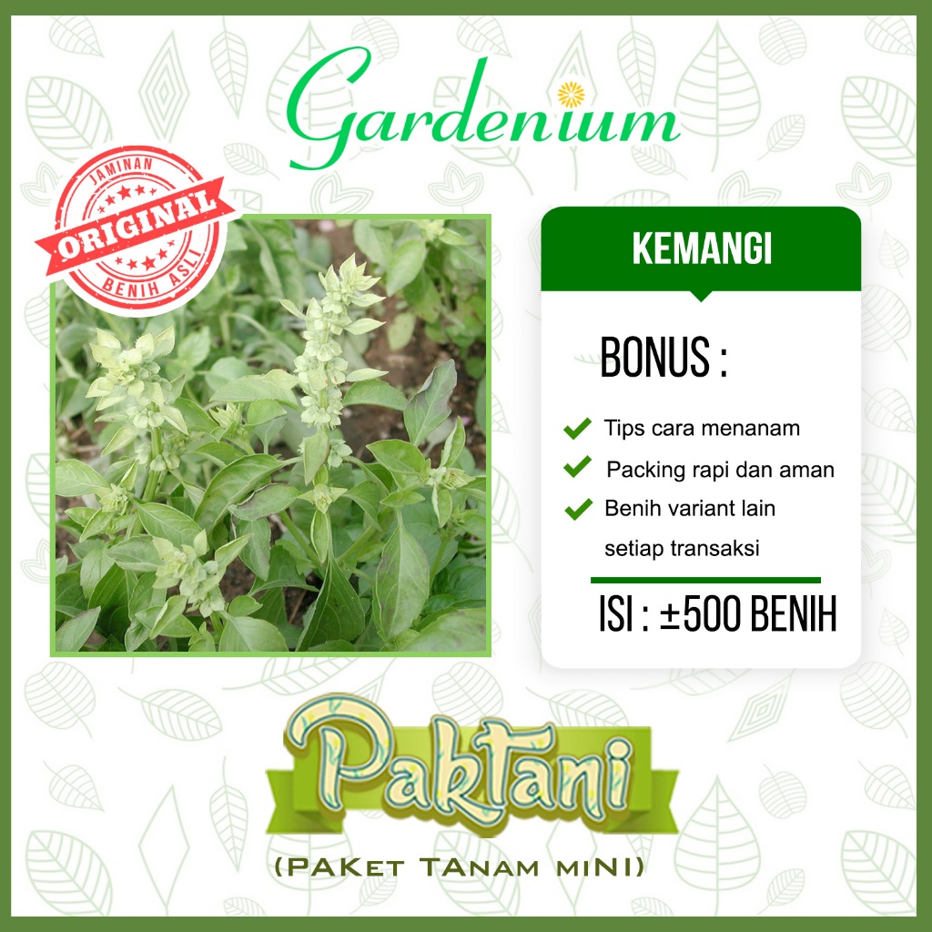 500 Benih Kemangi Sayuran Unggul Paktani