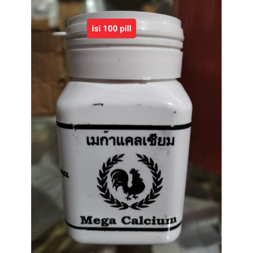 Jual Kalk Terlengkap & Harga Terbaru Agustus 2026 | Shopee Indonesia