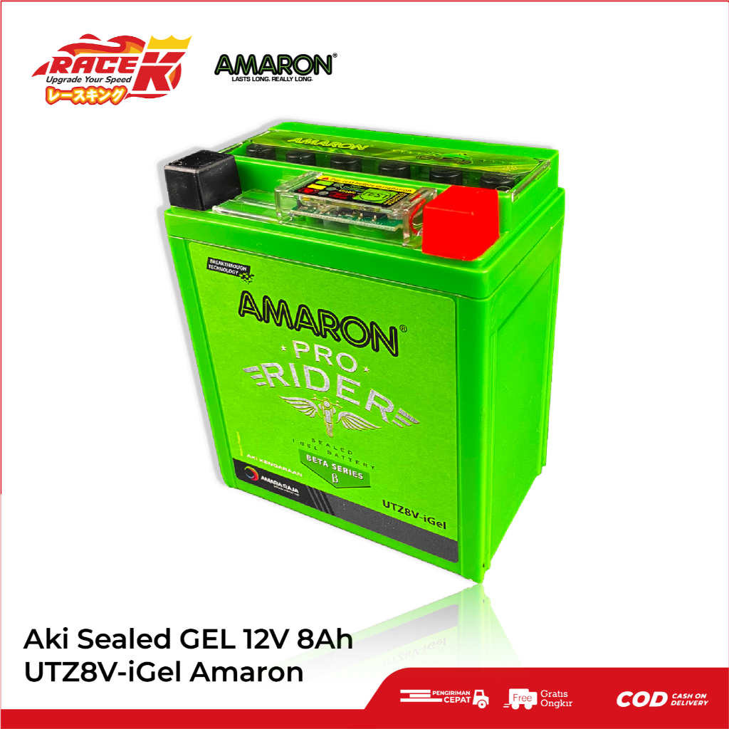 AMARON Aki Gel Accu Motor Yamaha XMAX R25 MT25 YZF 250 UTZ8ViGEL