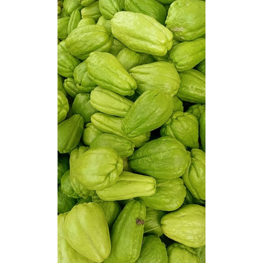 Produk BAKUL_SAYUR_SAYUR | Shopee Indonesia