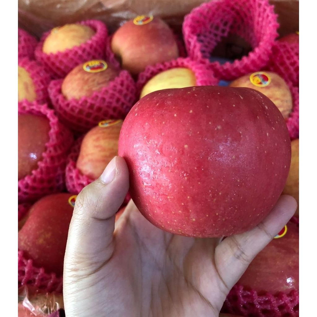 Jual Apple Fuji Terlengkap & Harga Terbaru Juli 2026 | Shopee Indonesia