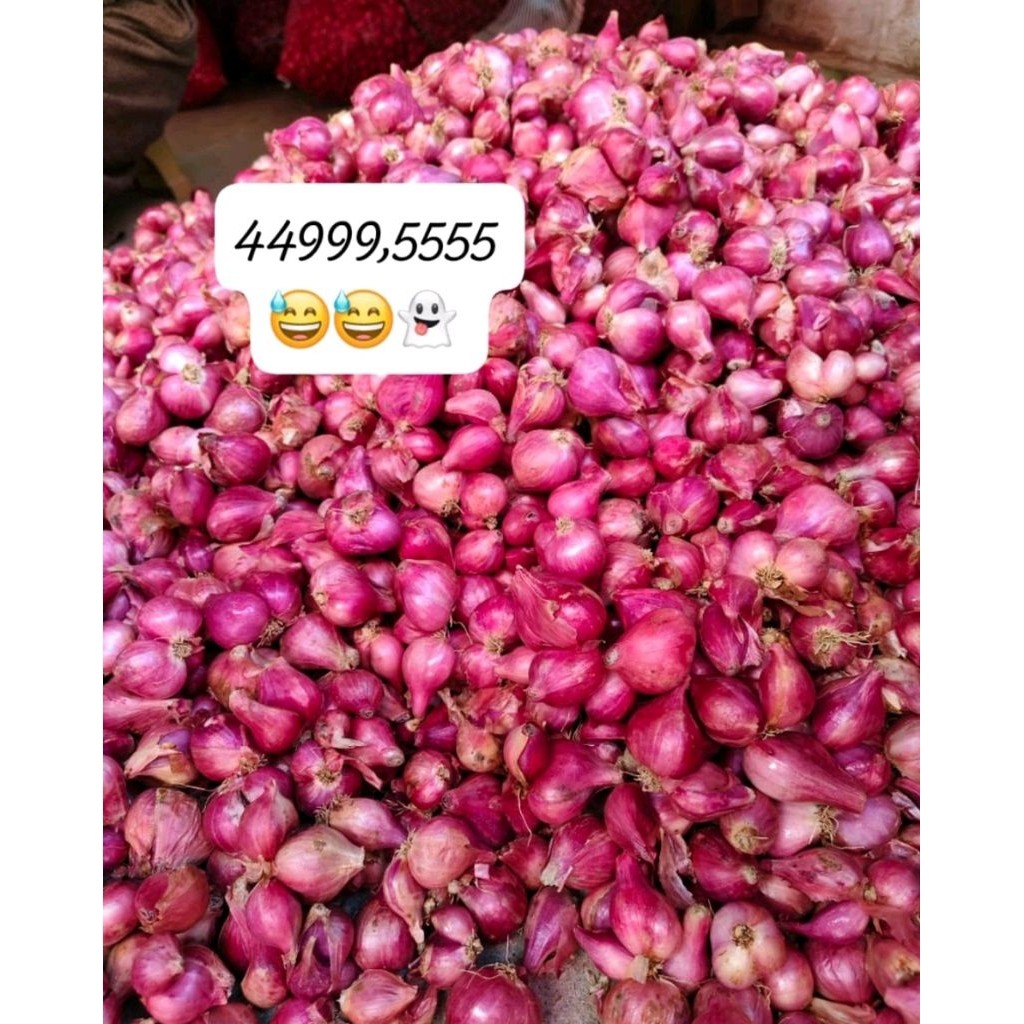 Bawang merah murah 1 kg berkualitas|bumbumasak