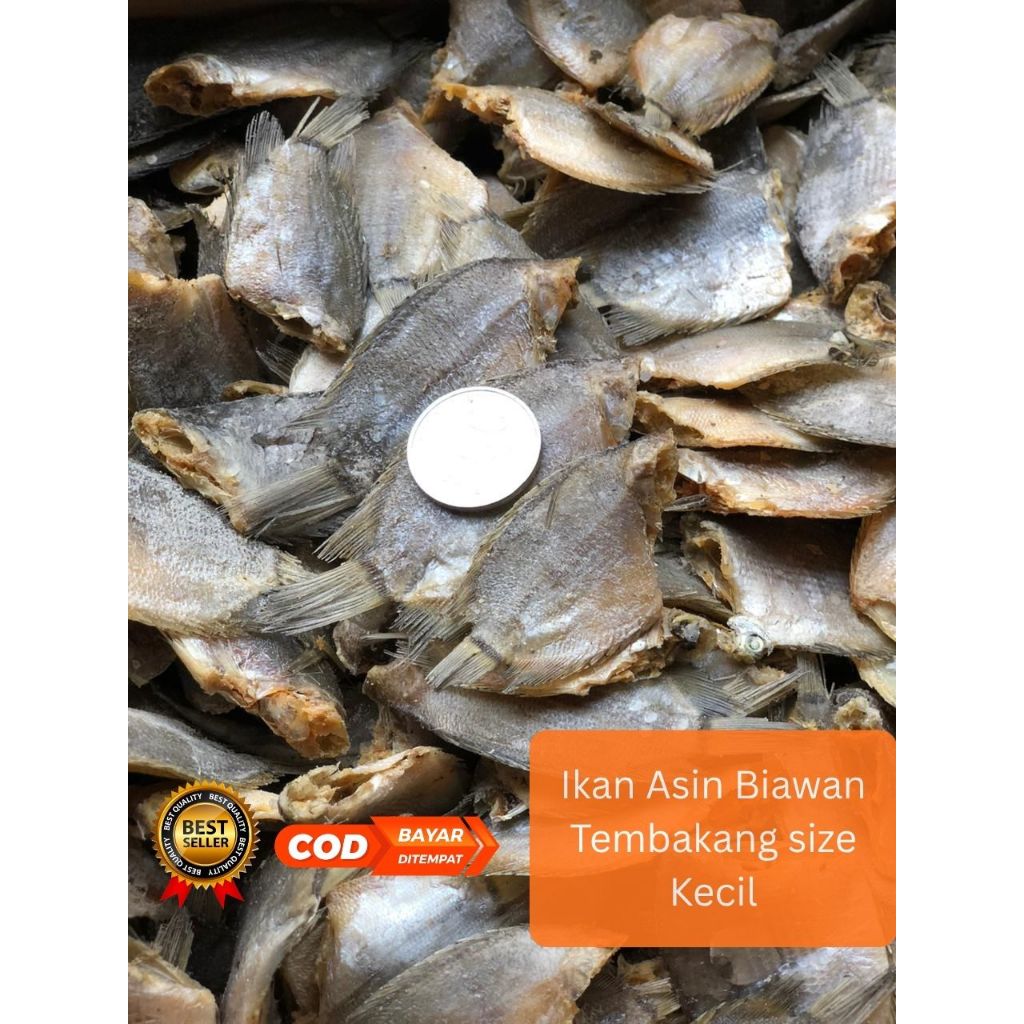 Jual Ikan asin tembakang / biawan size kecil 250gr 500gr 1kg | Shopee ...