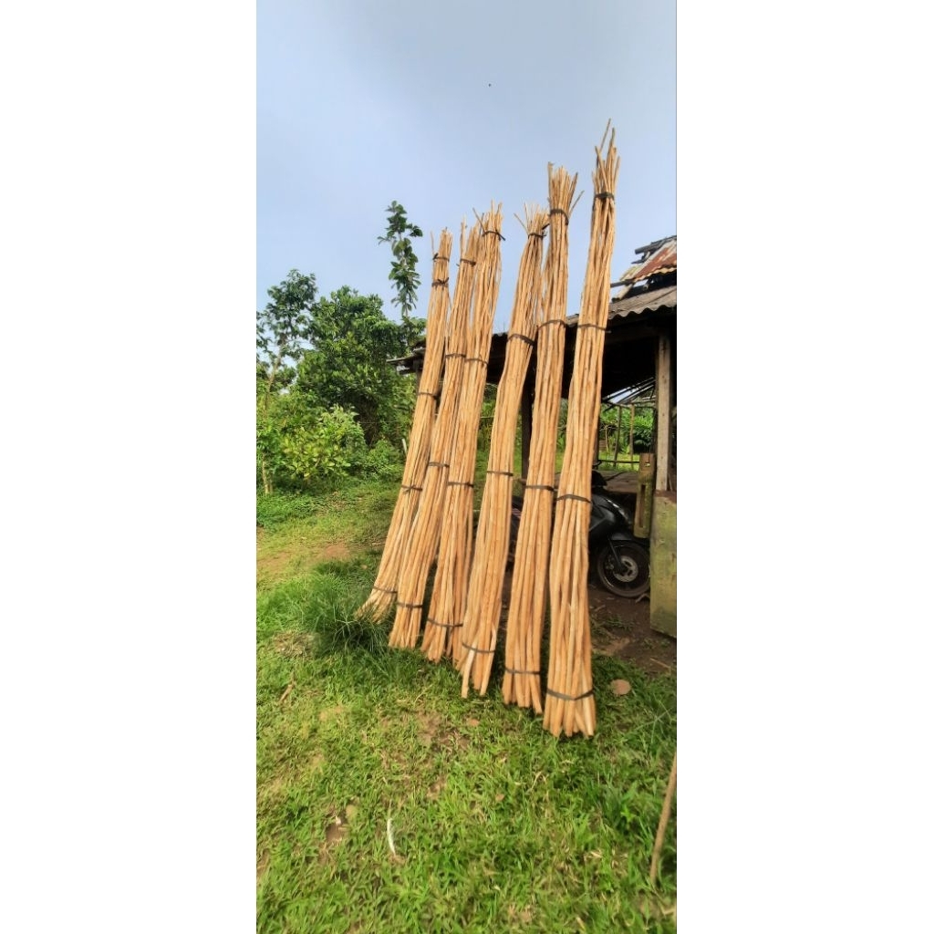 ranting kayu jati kupas 3 mtr
