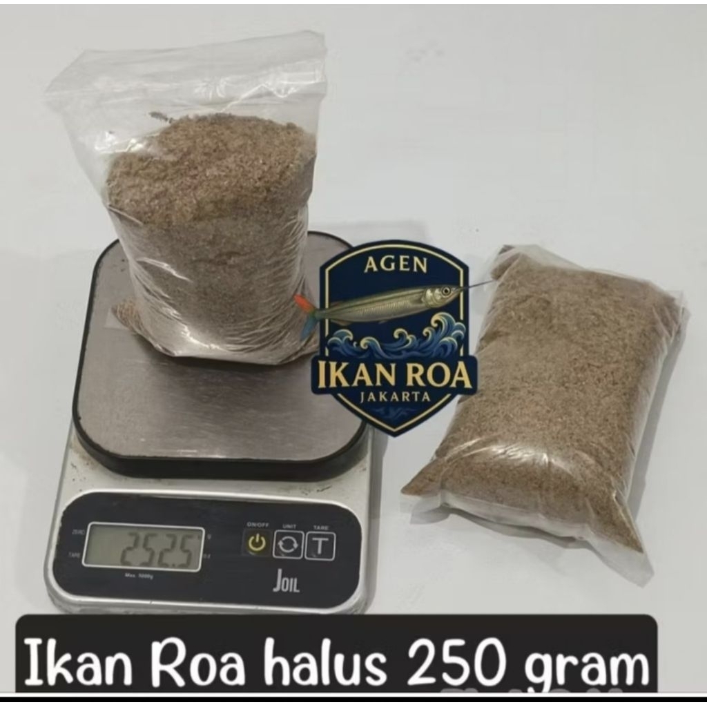 Jual Ikan Roa Terlengkap & Harga Terbaru Juni 2026 | Shopee Indonesia