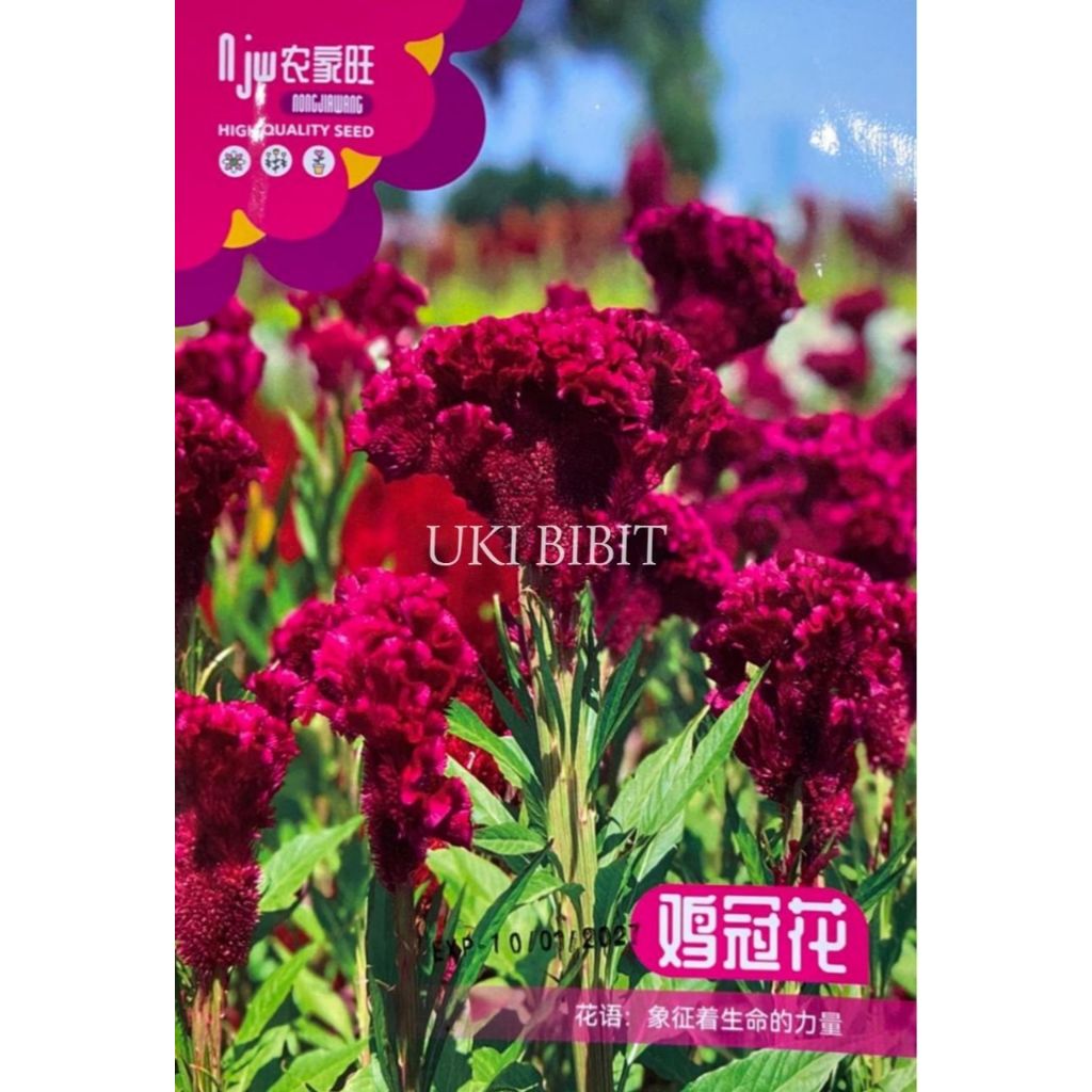 Jual Kemasan Original | Benih Biji Bunga Celosia | Bunga Jengger Ayam ...