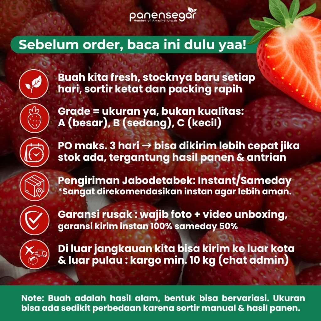 Jual Strawberry Fresh 1kg Premium Jumbo Panensegar Stroberi Segar ...