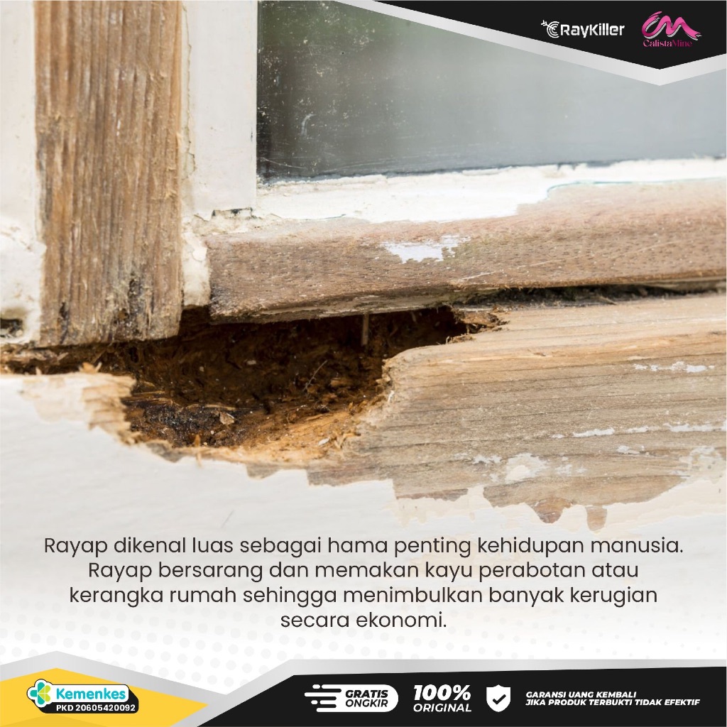 Jual [PAKET 3PCS] Raykiller Pembasmi Semua Jenis Rayap Kayu Efektif ...