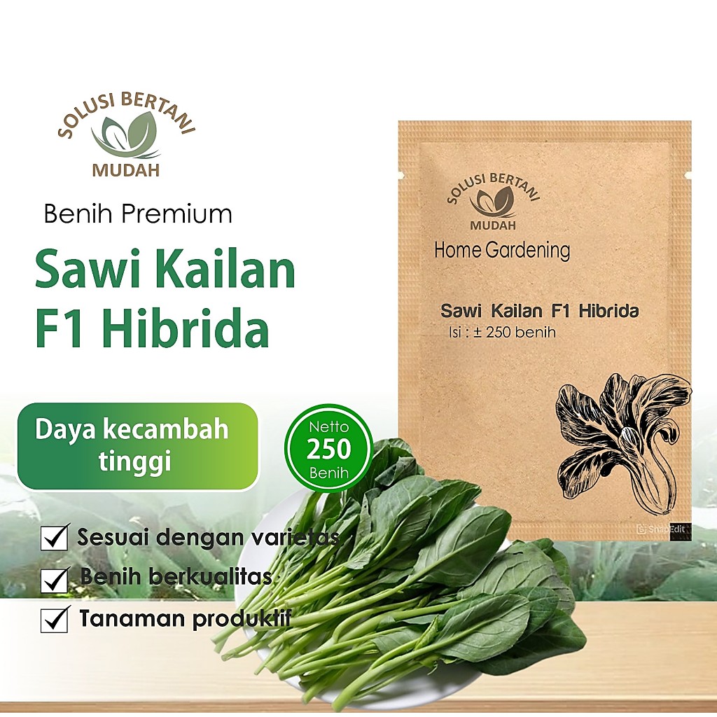 Benih Sawi Kailan F1 Hibrida Unggul untuk Hidroponik dan Tanah