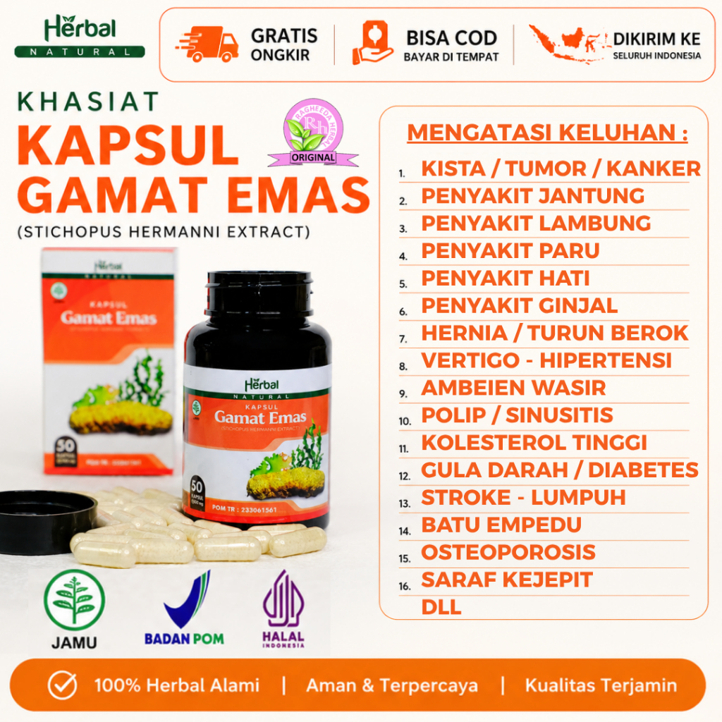 Kapsul Gamat Emas Original 100% Ekstrak Teripang Emas Asli Obat Herbal Multikhasiat BPOM & HALAL MUI