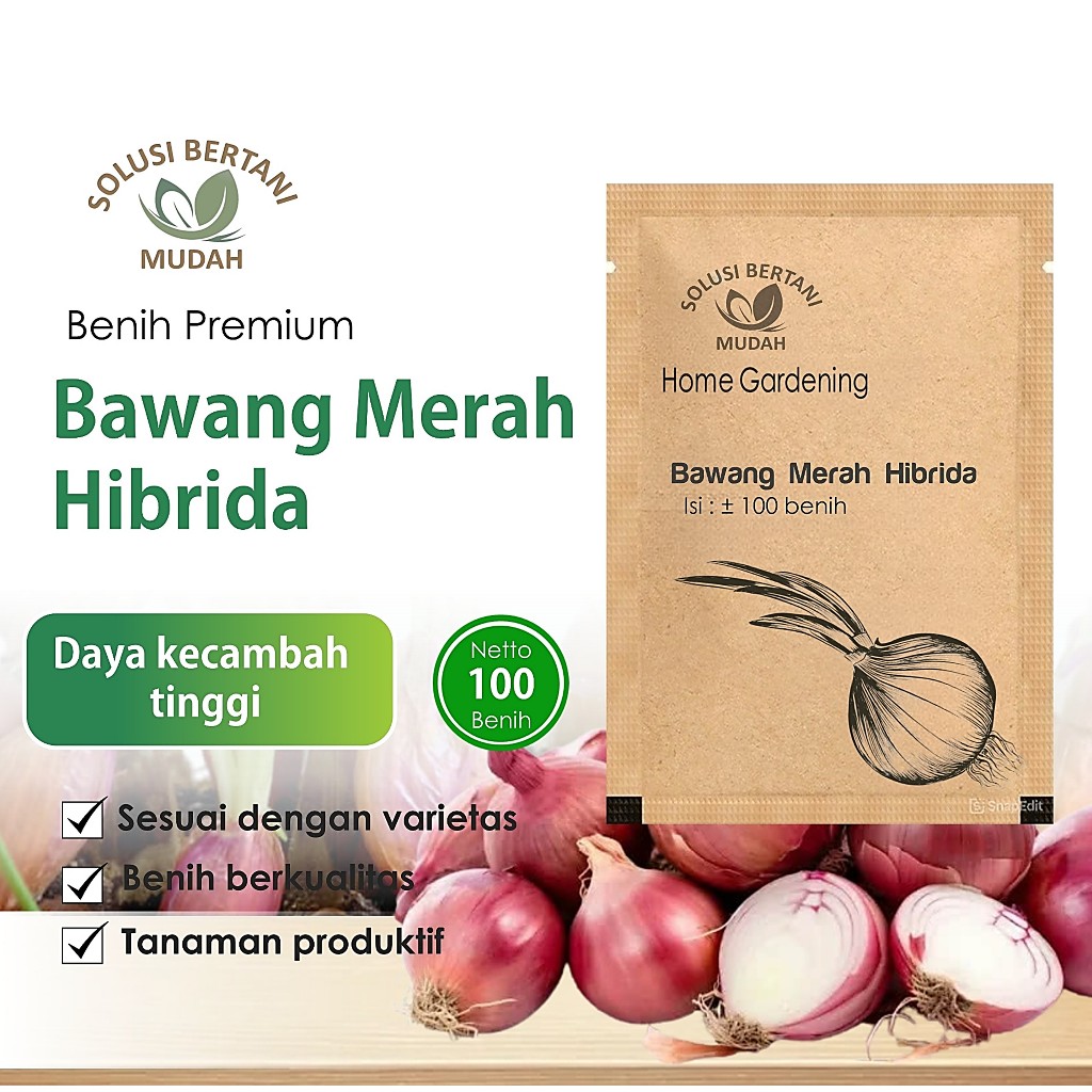 Benih Sayuran Bawang Merah Unggul Hibrida | Daya Tumbuh Tinggi