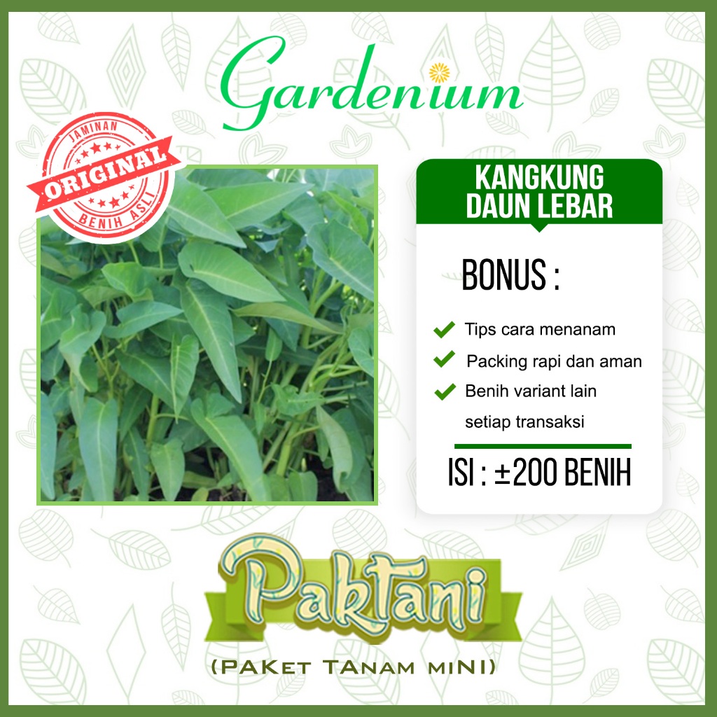 200 Benih Kangkung Daun Lebar Sayuran Unggul