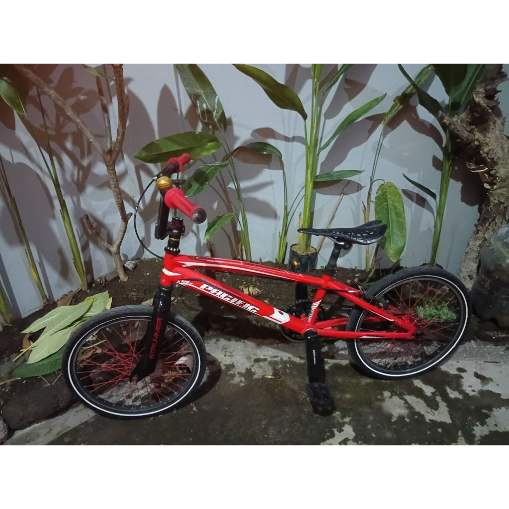 Jual Sepeda Onthel Bmx Terlengkap & Harga Terbaru Juli 2026 | Shopee ...