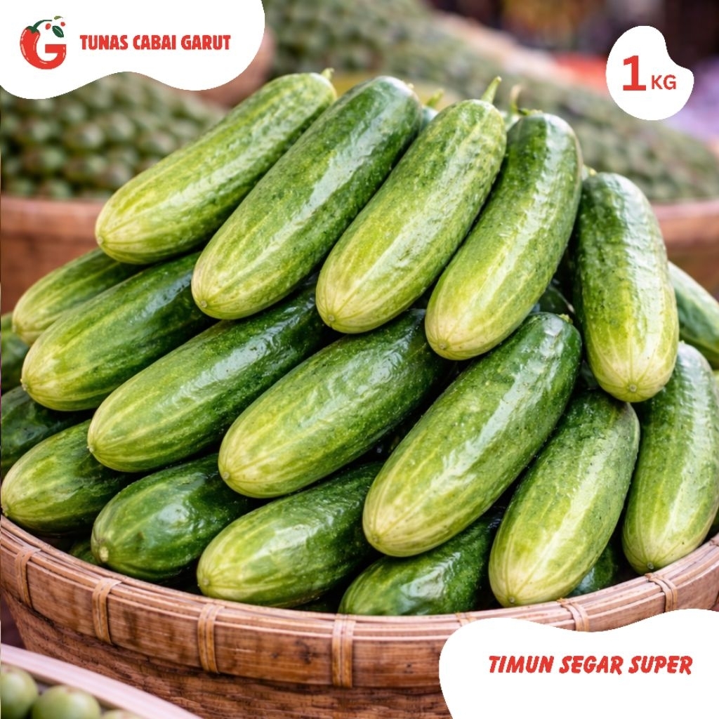 Jual TIMUN SEGAR SUPER 1 KG | Shopee Indonesia