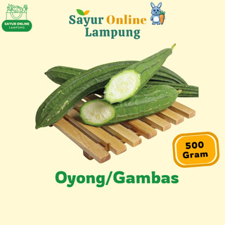Oyong / gambas 500gr