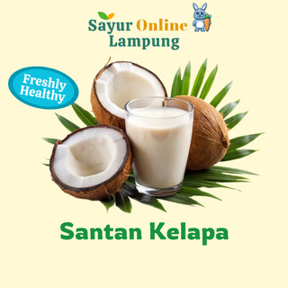 Santan Cair 250 Ml - Santan Segar
