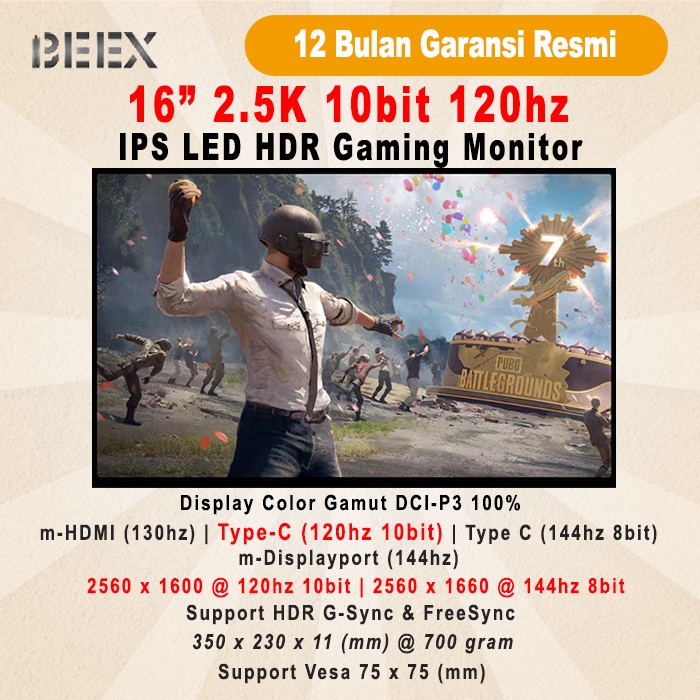 Jual Portable Monitor BeeX 16