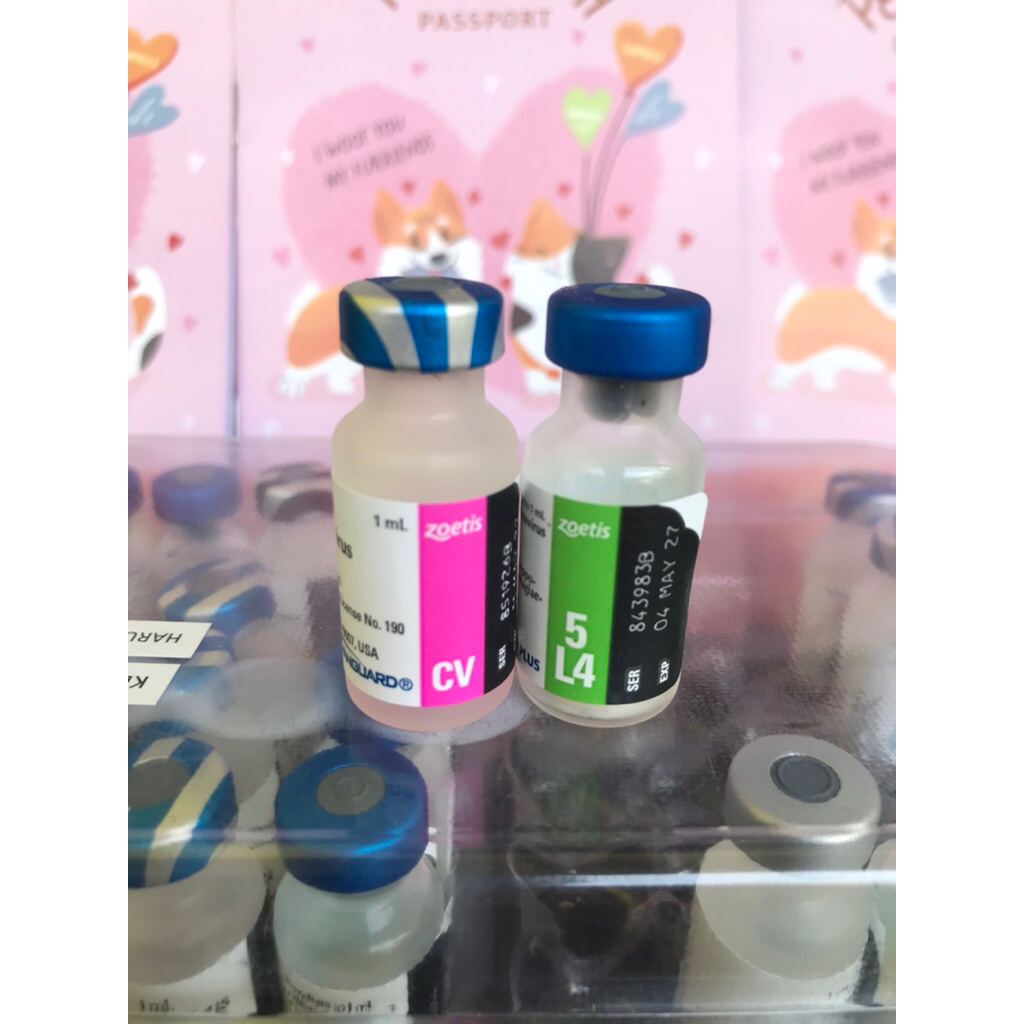 Jual Vaksin Booster Terlengkap & Harga Terbaru April 2026 | Shopee ...